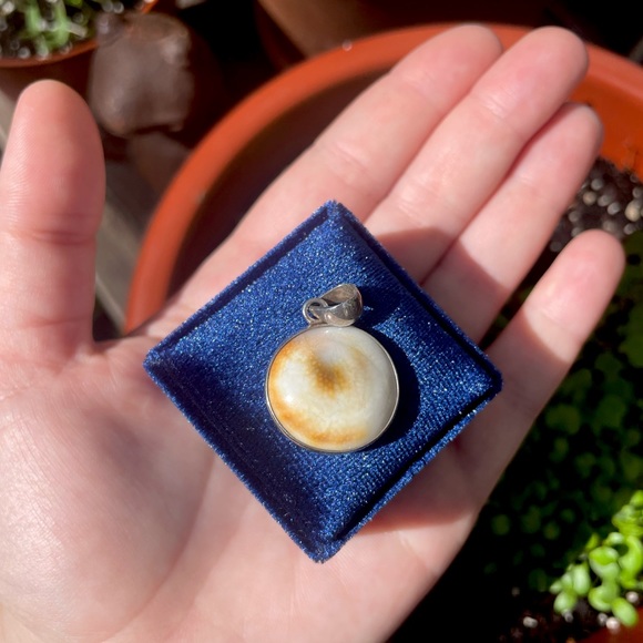 Shell Charm Pendant - Picture 3 of 5